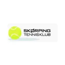 skoerpingtennis.dk's icon