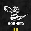 HANAU HORNETS's icon