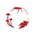 Canadensys's icon