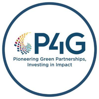 P4G's icon