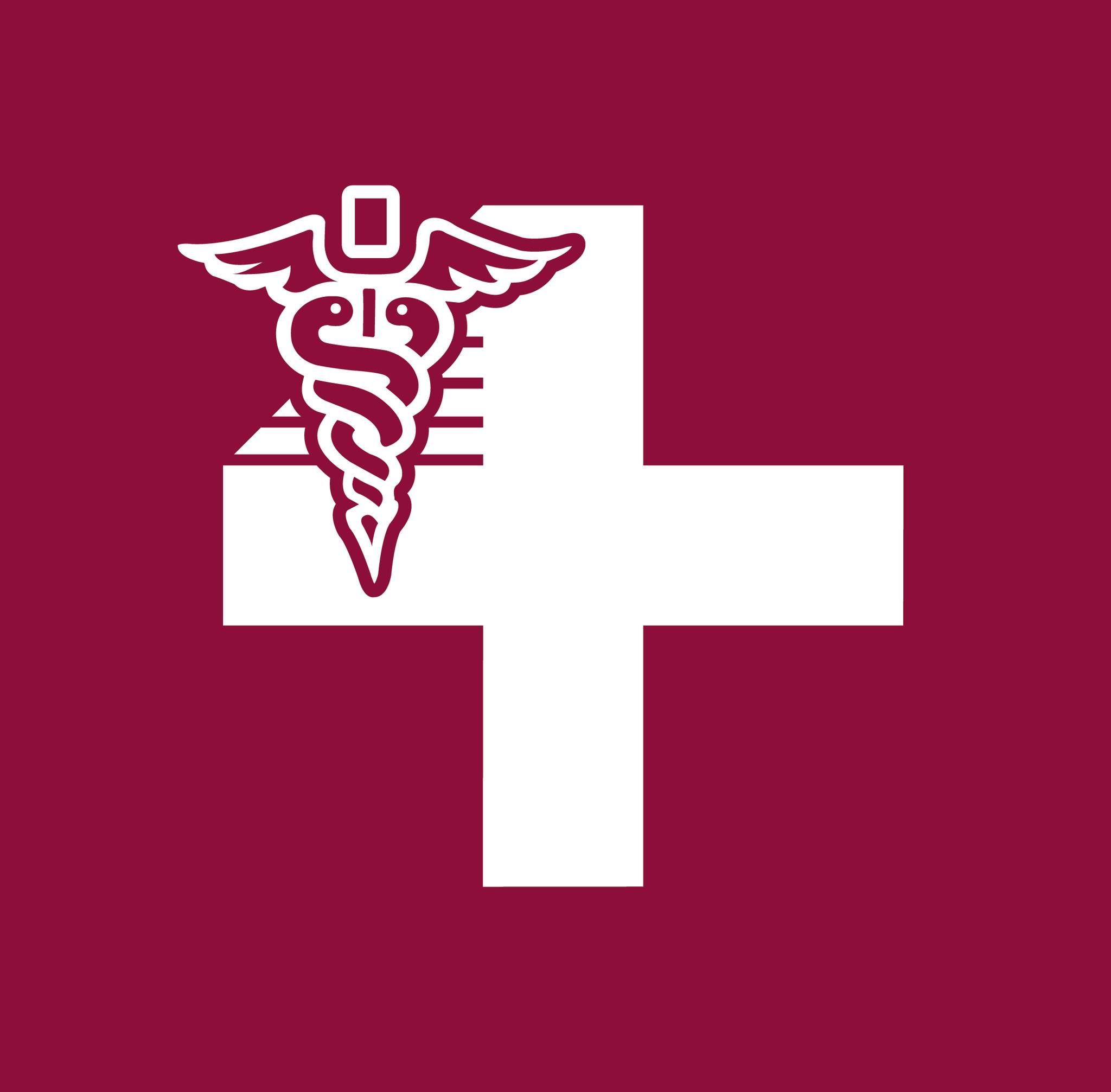 Central Maine Medical Center's icon