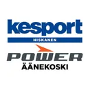 Niskanen's icon