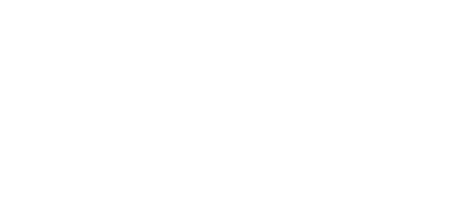 Meraki's logos