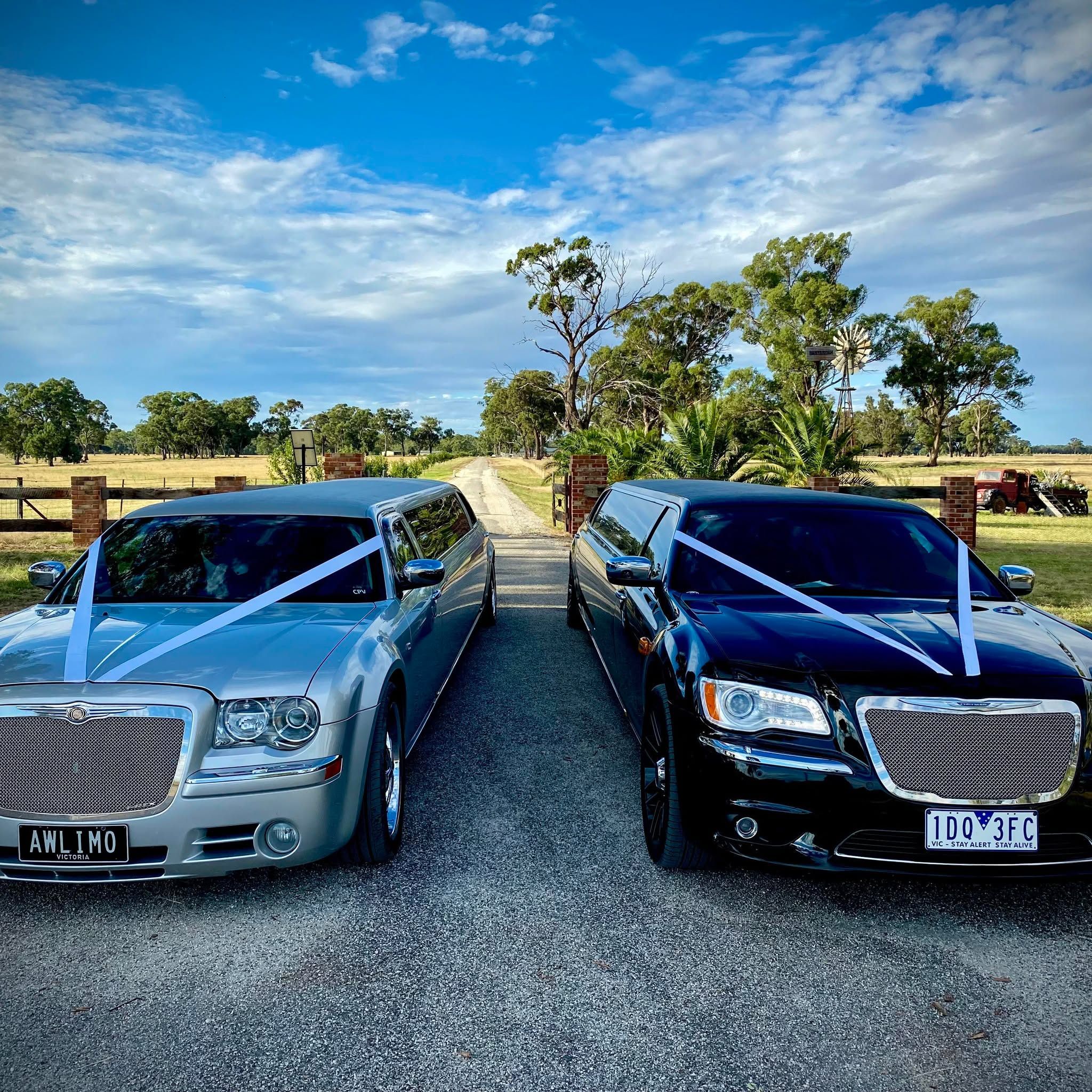 Albury Wodonga Limousines's brand icon