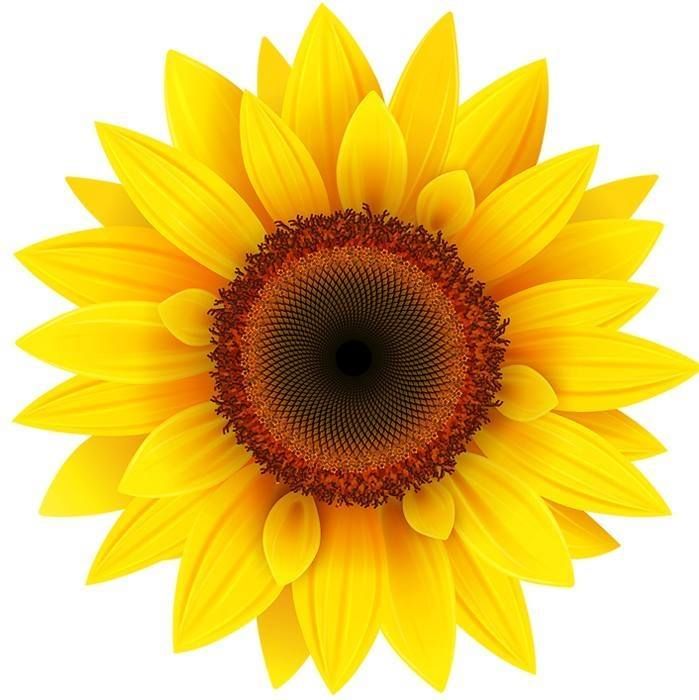 agrigardenshop.com's icon