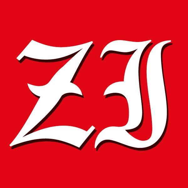 Zagorje International's icon