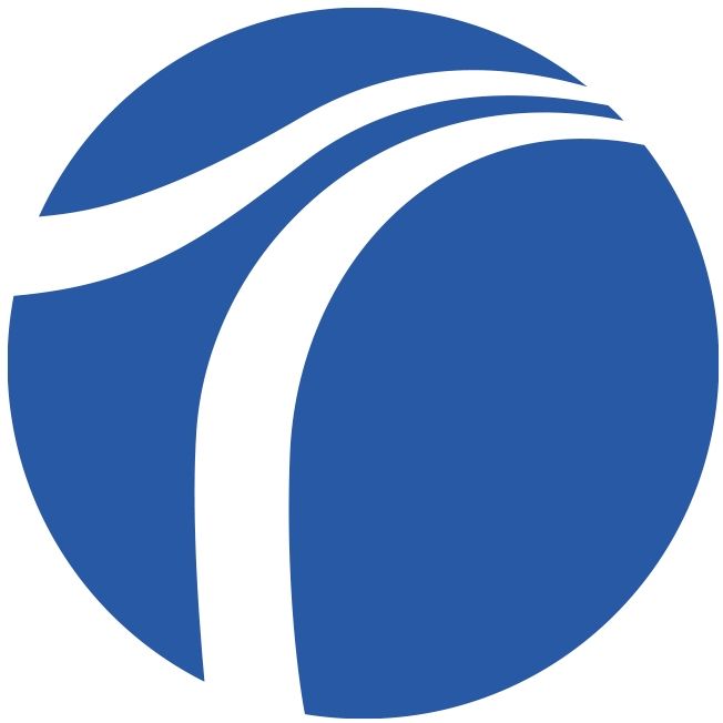 web2go.com.br's icon