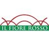 Il Fiore Rosso's icon