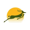 Precision Air's icon