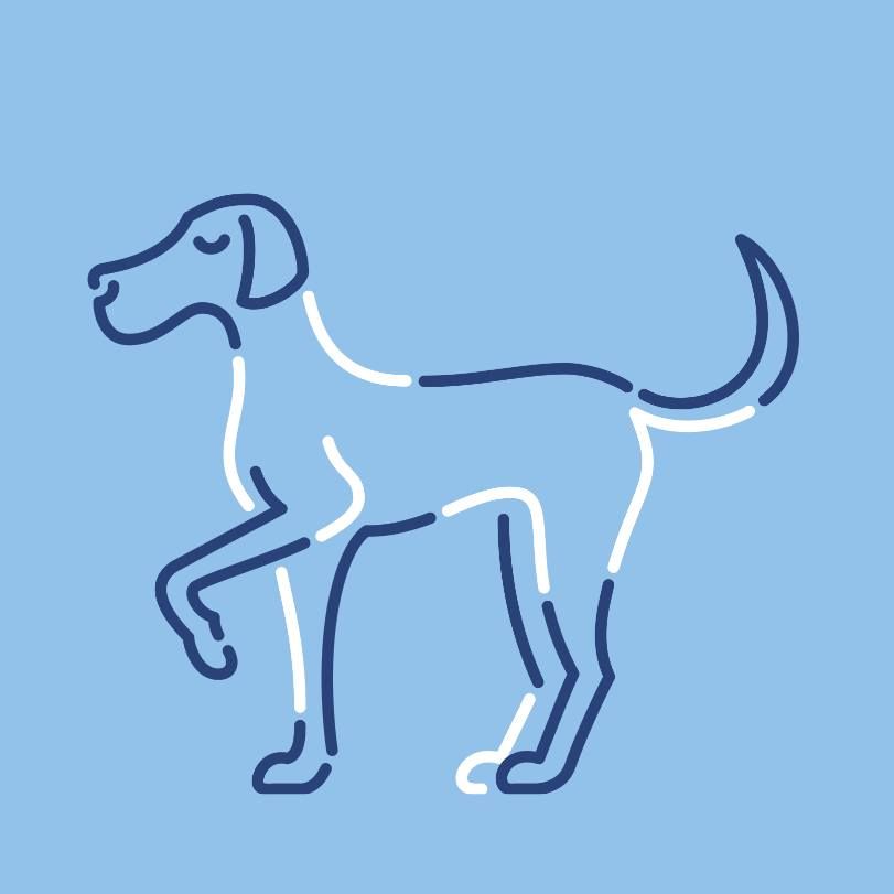 Wagwellpet's icon
