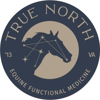 True North Equine Veterinary Services's icon