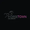 HORSETOWN's icon