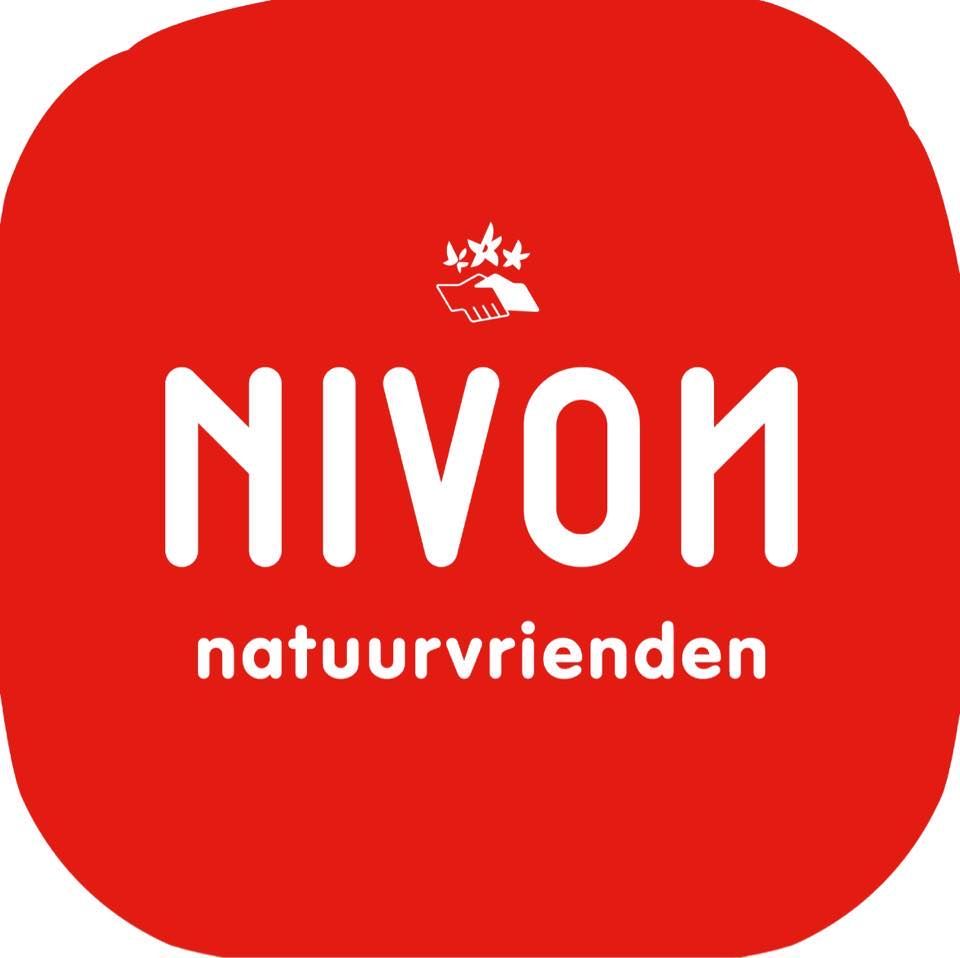Nivon Logo & Brand Assets (SVG, PNG and vector) - Brandfetch