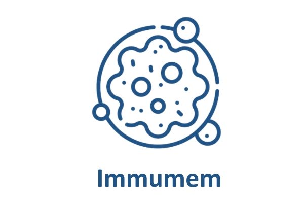 Immumem Therapeutics's logos