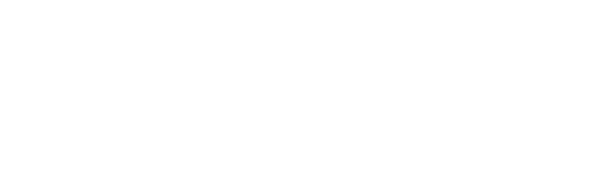 Anthro Insights's logos