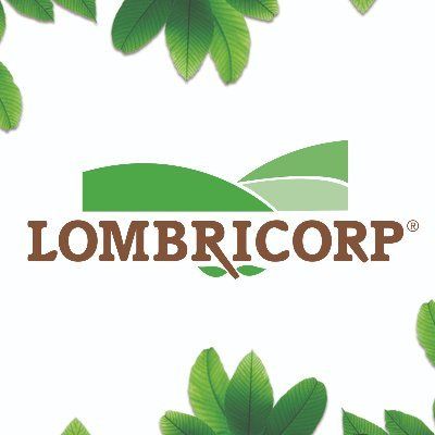 Lombricorp's icon