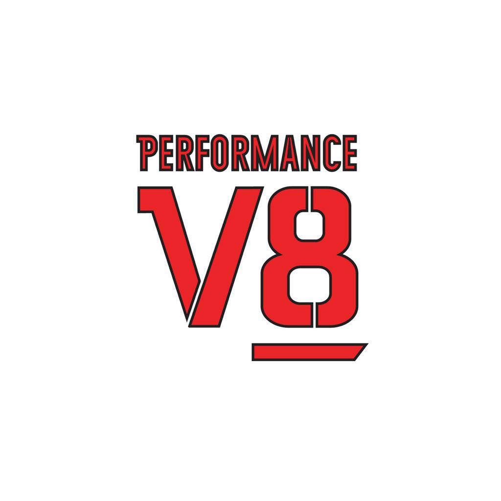 Performance V8's icon