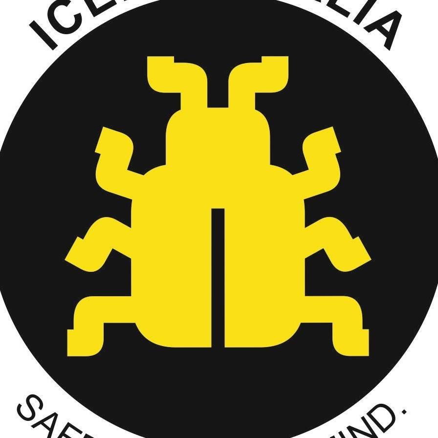 Icebug Italia's brand icon