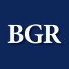 BGR Group's icon