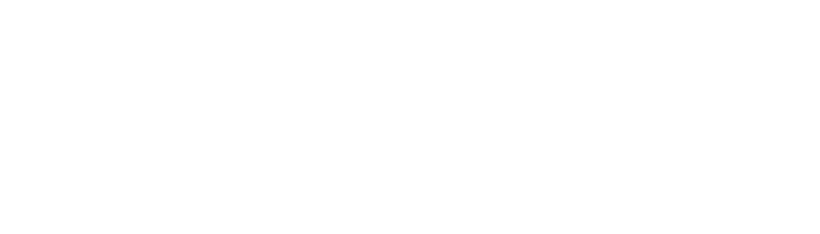 Invicti logo