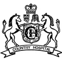 country.org.tw's icon