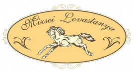Mizsei Lovastanya's logos