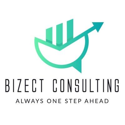 Bizect Consulting's icon