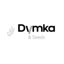 Dymka's icon