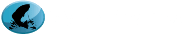 My Fishing Flies's logos