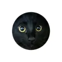 BlackKittyCards's icon