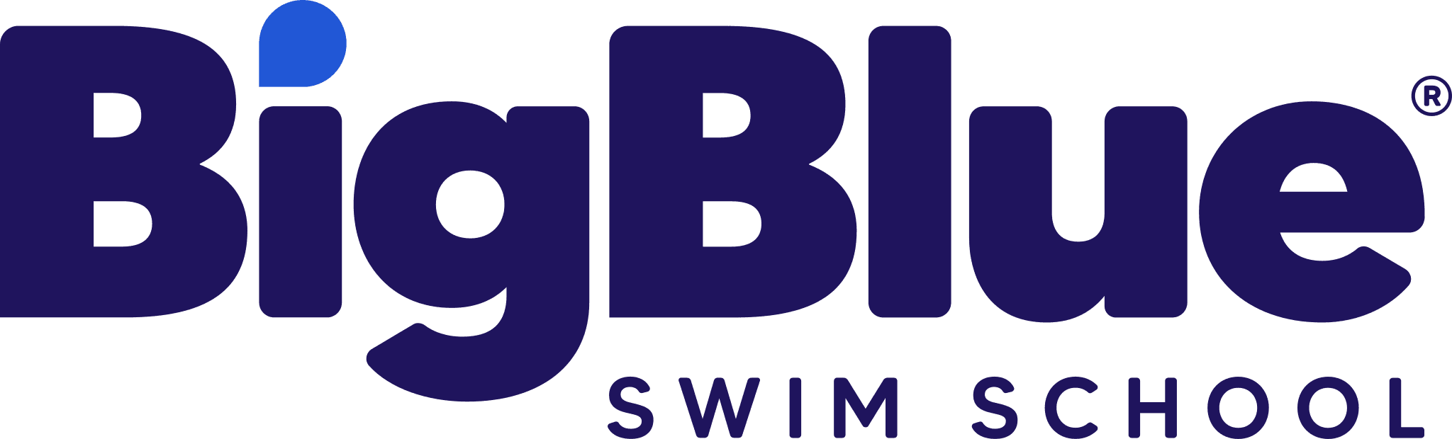 Big Blue Swim School logo