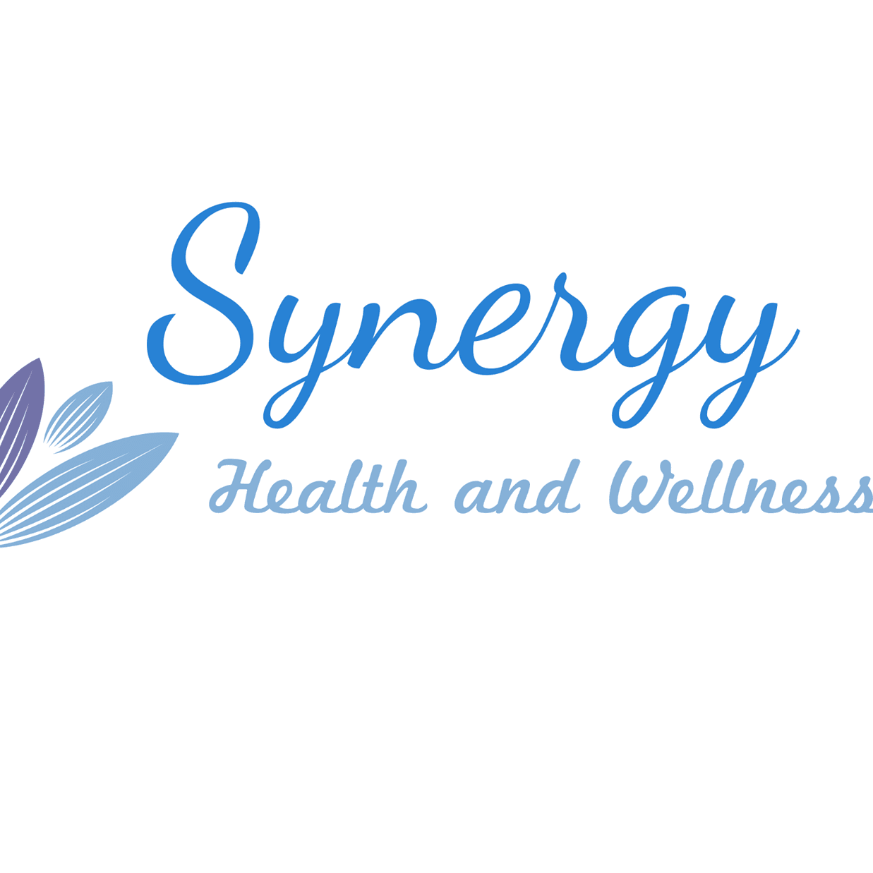 Synergy Toledo's icon