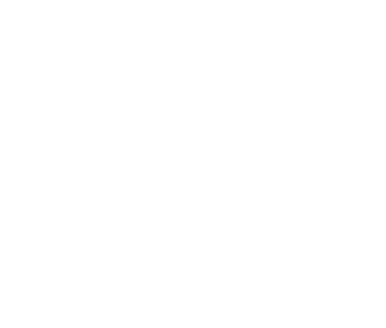 Brasport Group's logos
