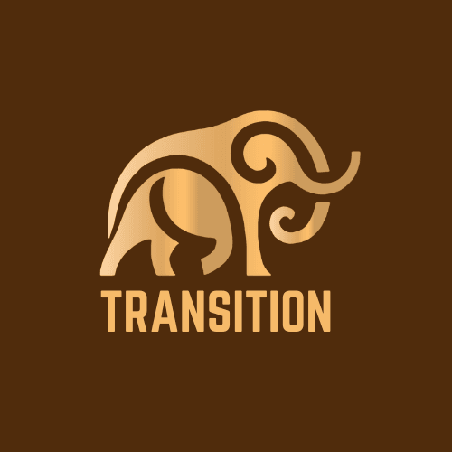 weartransition.com's icon