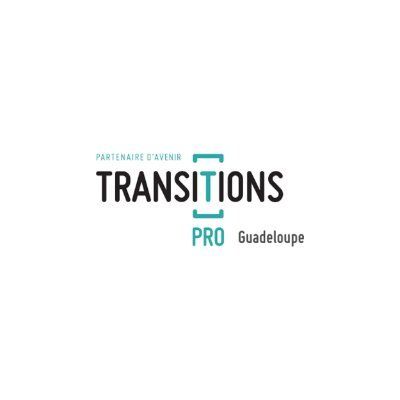 Transitions Pro Guadeloupe's icon