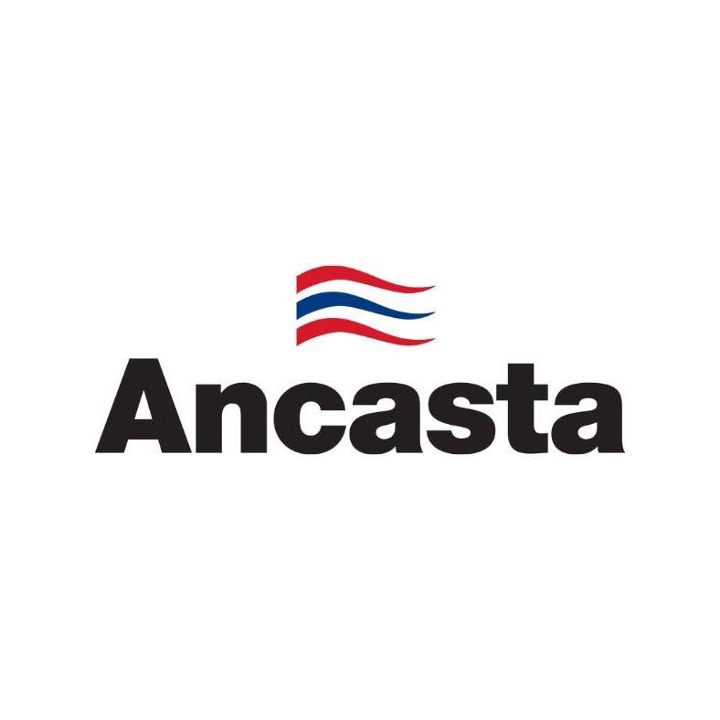 Ancasta International Boat Sales's icon