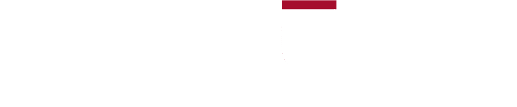 Lanéva 100% Electric's logos