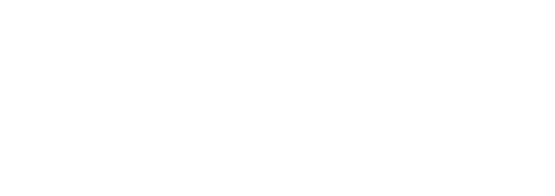 Arctic Wolf logo