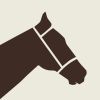 StepUp Horse's icon