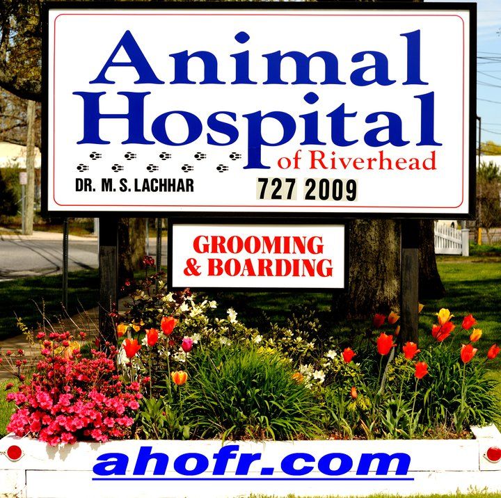 Riverhead Animal Hospital's icon