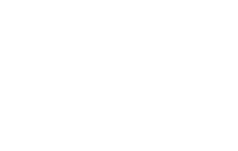 ANYA HOTEL's logos