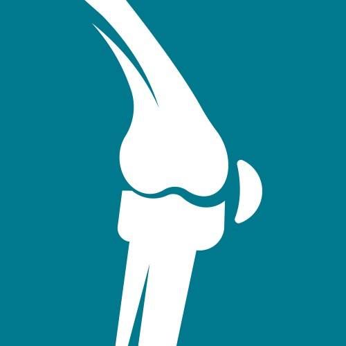Bone and Joints's icon