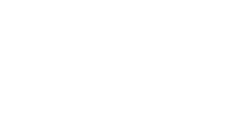 Net Technology's logos