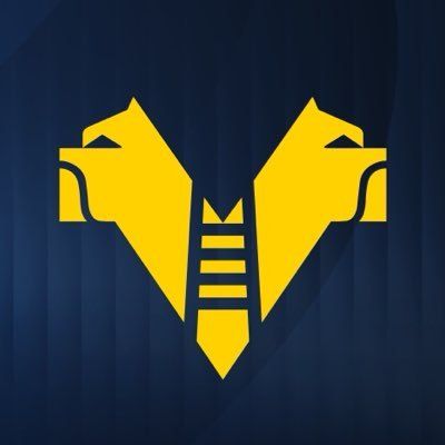 Hellas Verona FC's icon