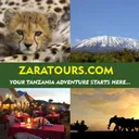 Zara Tanzania Adventures's icon