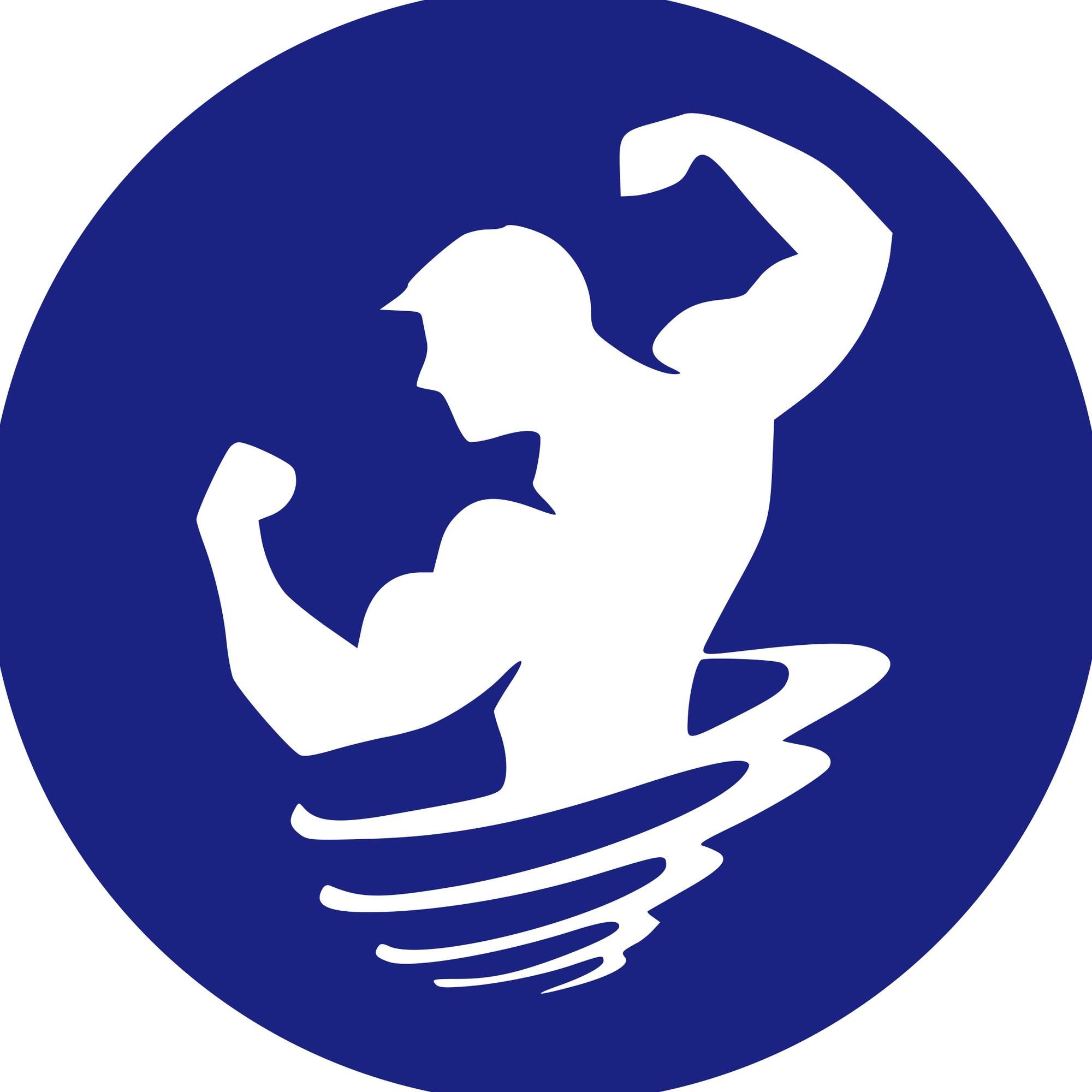 Intersport's icon