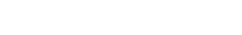 The Travel Chapter logo