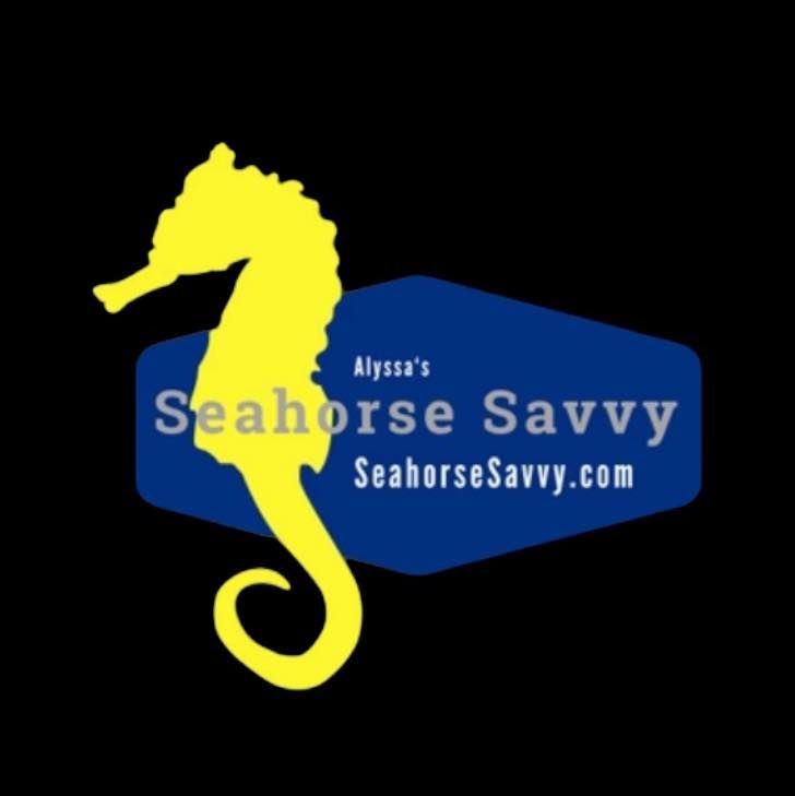 Seahorse Savvy's brand icon