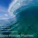 Odisons Holidays's icon