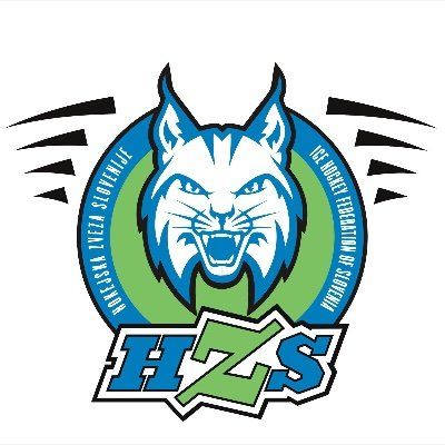 Hokej's icon